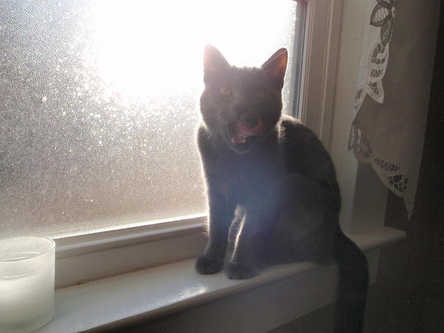 2009_0224LipLiker.jpg