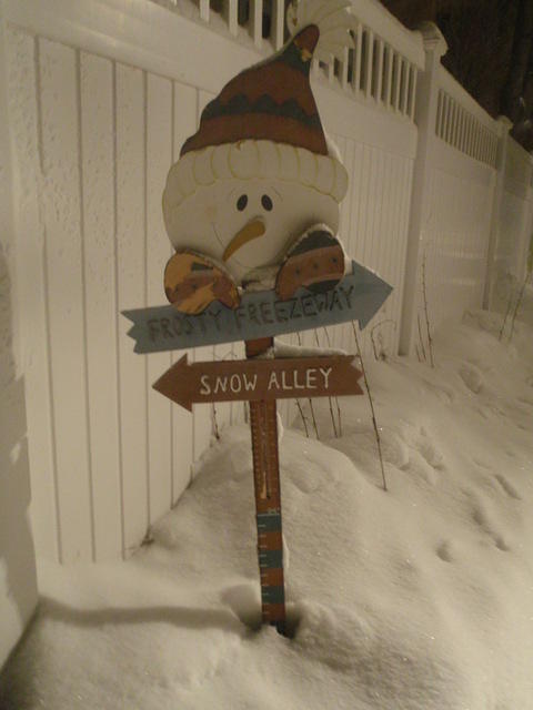 2009_1219Blizzard3.JPG
