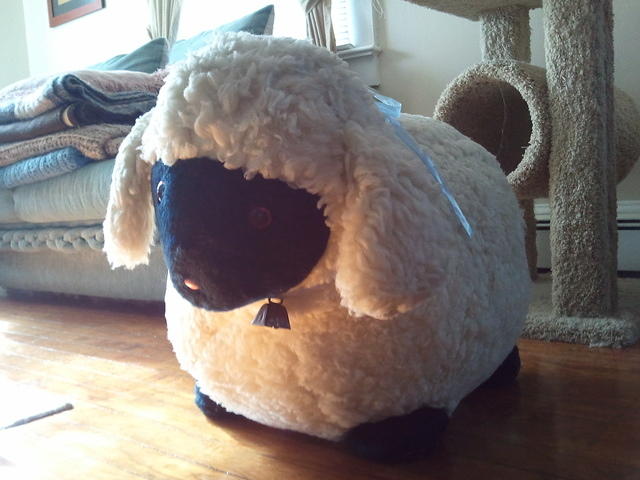 2010-11-14Lamby.jpg