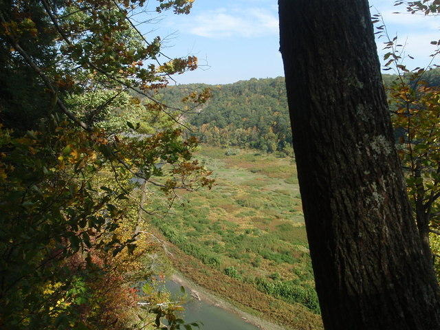 2010_0924Groge2.JPG