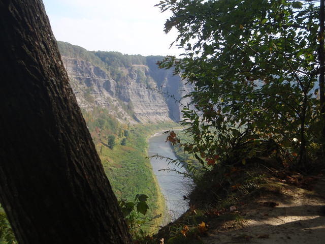 2010_0924Groge3.JPG