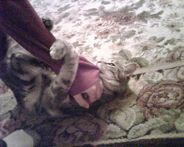 2010_0314Benny.jpg
