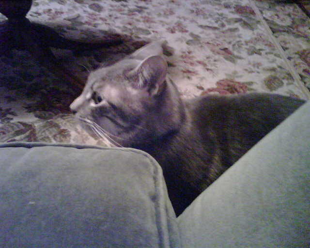 2010_0314BennysProfile.jpg