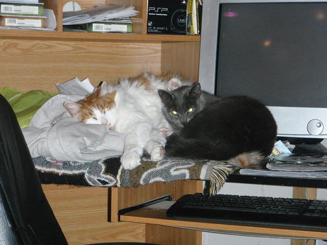 2010_0326StettoAndKhensu.JPG
