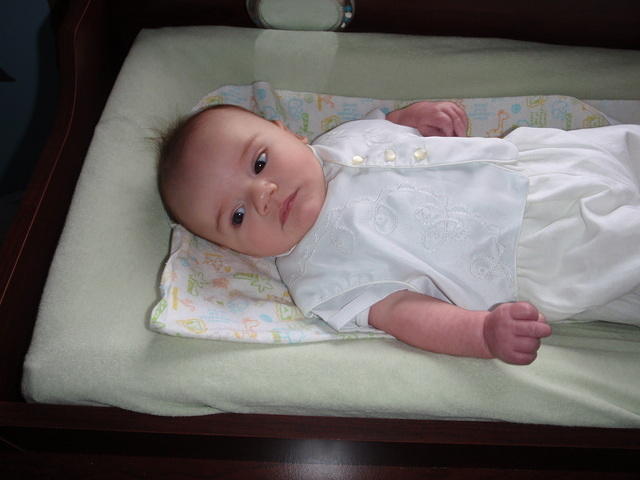 2010_0124Finn.JPG