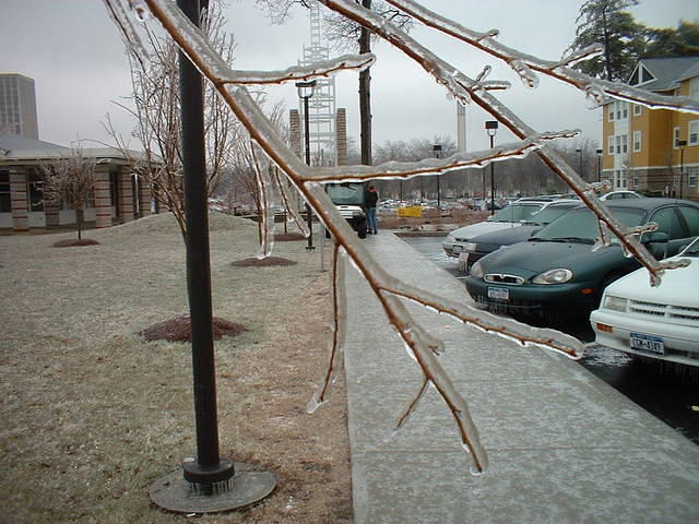 2003_0404FrozenTree