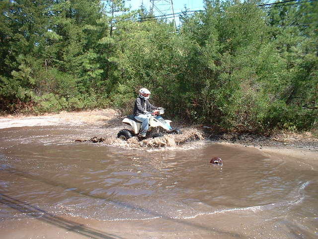 2003_0420GettingSoggy