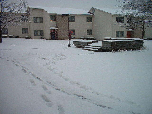 2002_0320snowycourtyard