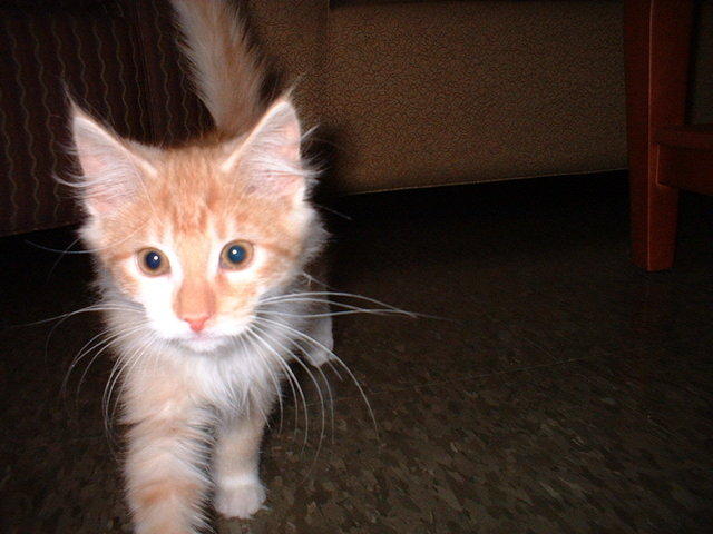 2002_1102Closeup