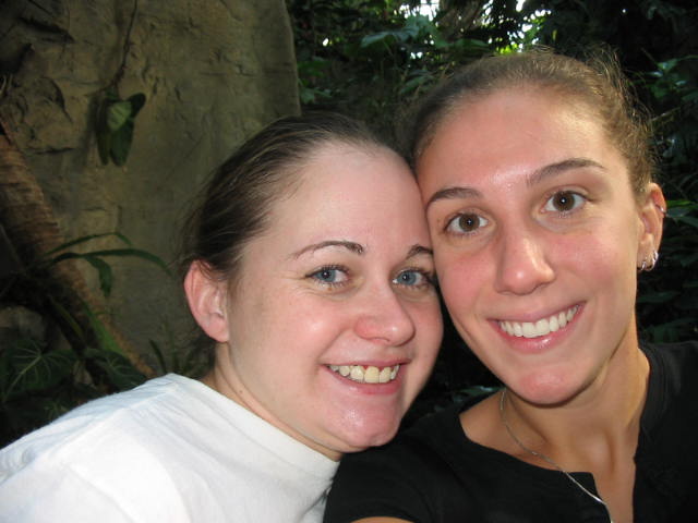 2004 1007 TwoAnimalsInTheRainforest