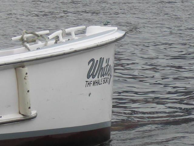 2004 1008 TheWhitey