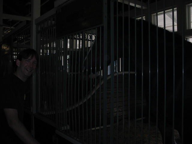 2004 1119 BobByAHorse