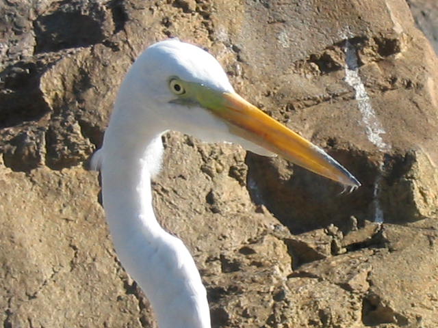 2004 1119 Closeup