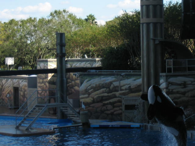 2004 1119 Jumping