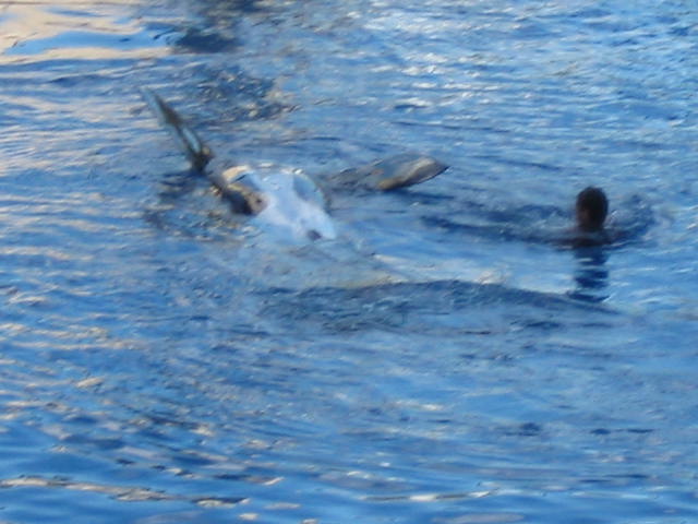 2004 1119 Trick2