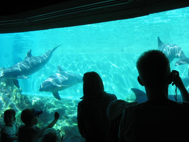 2004 1119 UnderWaterView