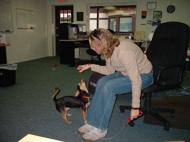 2004 0303TheClaw
