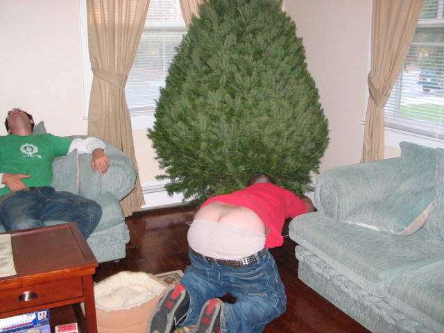 2005_1125_ChristmasCrack.JPG