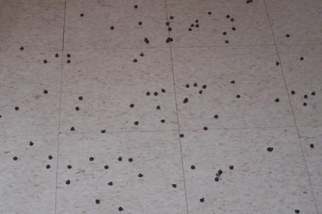 100_2071.JPG
