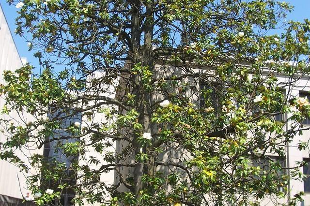 100_2086.JPG