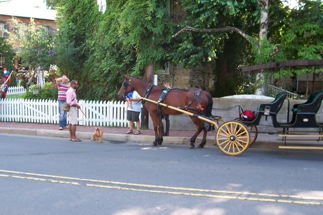 4thjuly 009