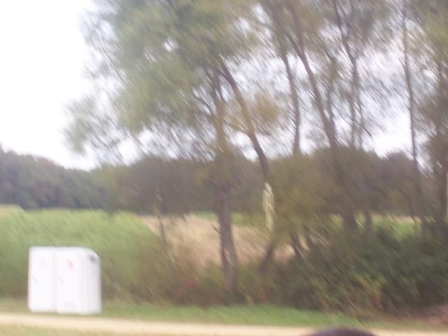 100_0898.JPG