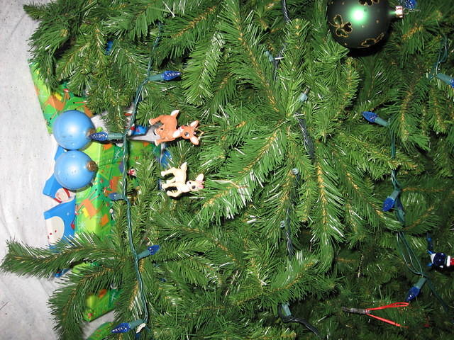 xmas06 015.jpg