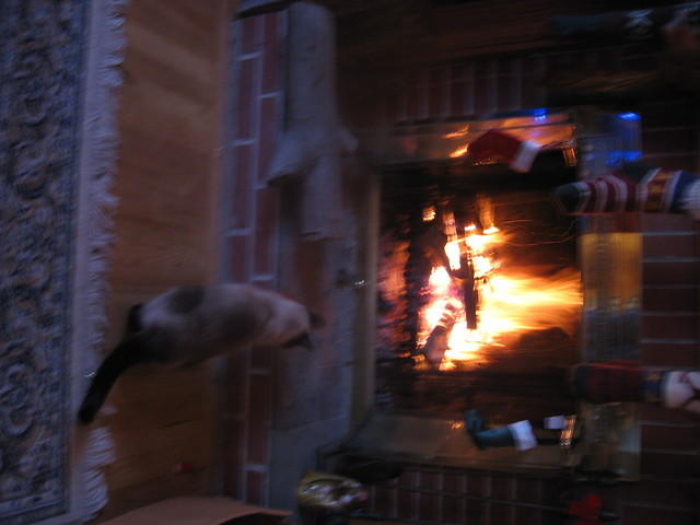 xmas06 043.jpg