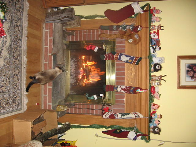 xmas06 045.jpg
