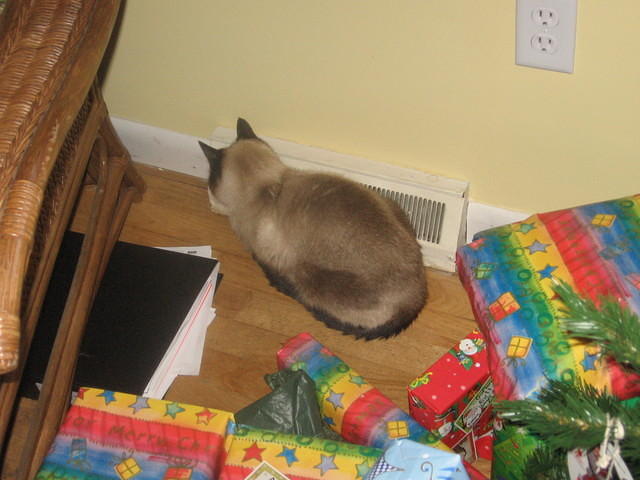 xmas06 050.jpg