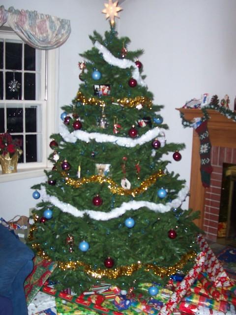 100_1361.JPG