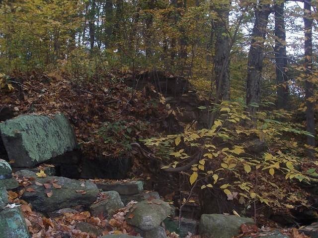 100_0918.JPG