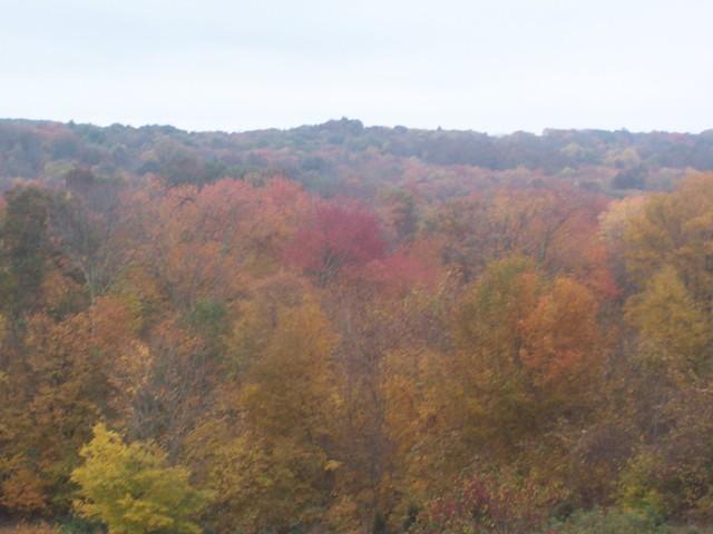 100_0927.JPG