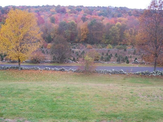 100_0928.JPG