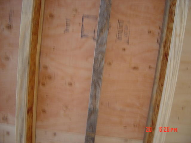 DSC00761.JPG