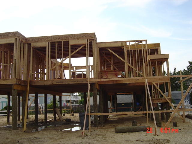 DSC00803.JPG