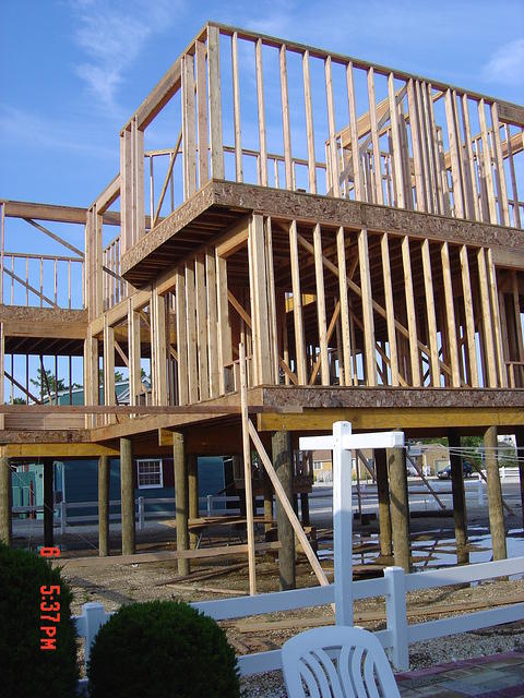 DSC00825.JPG