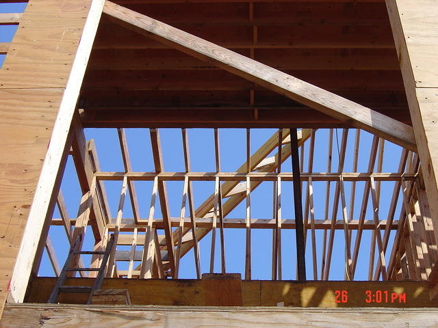 DSC00905.JPG