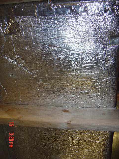 DSC01362.JPG