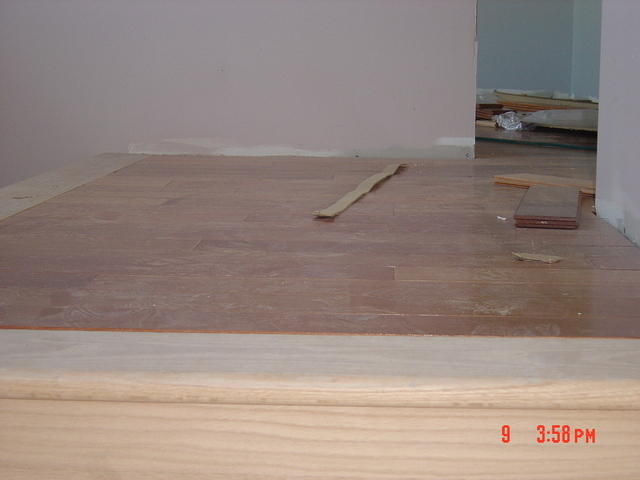 DSC01502.JPG