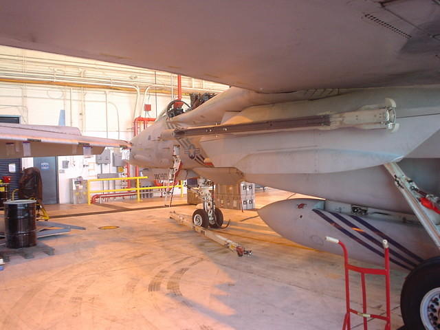 F14-B Tomcat (underwing)