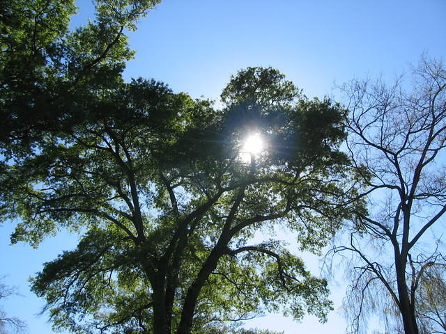 IMG_2123.JPG