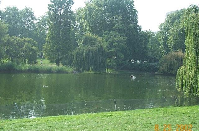 UK - nottingham summer 2002 113