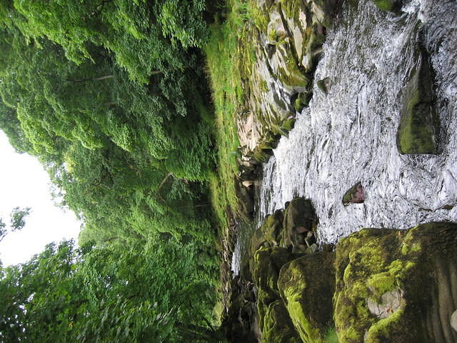 IMG_1496.JPG