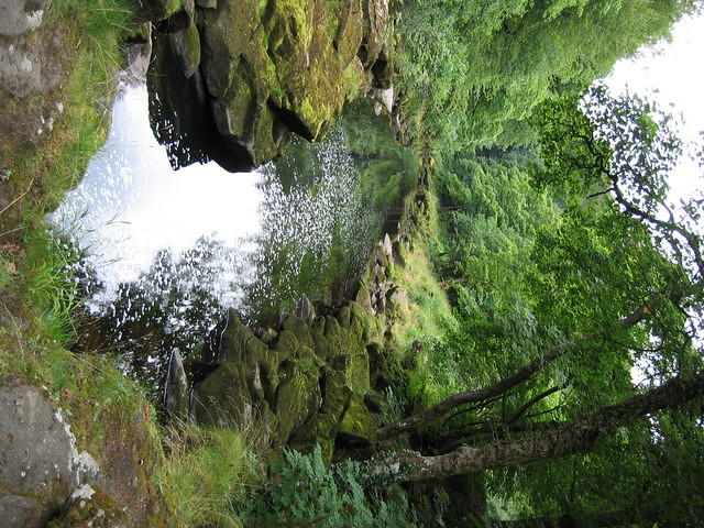 IMG_1498.JPG
