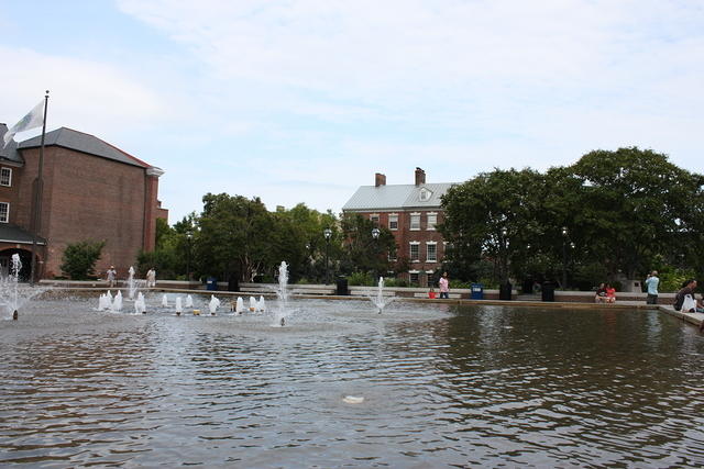 IMG_2831.JPG