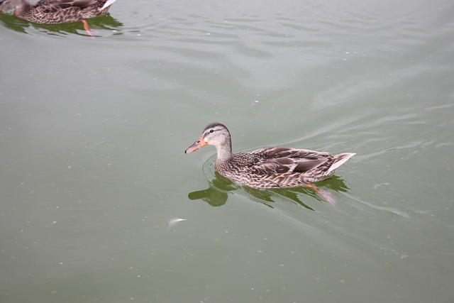IMG_2861.JPG