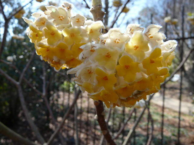 P1000035.JPG