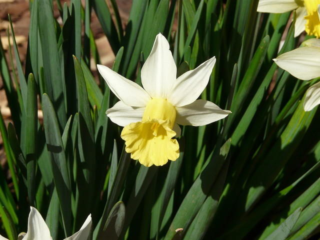 P1000037.JPG