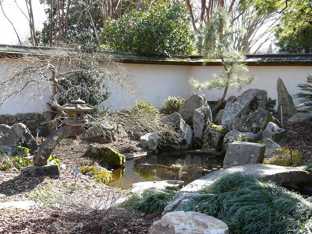 P1000044.JPG